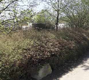 Stadion an der Kreuzeiche