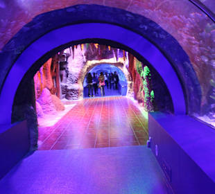 Toni Macaroni in Antalya-Aquarium