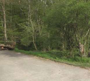 Barfußpfad Firstwald