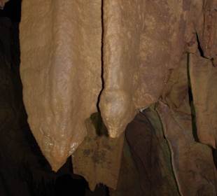 Скельская пещера, Крым