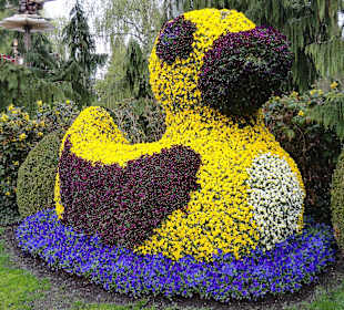 Blumen Ente