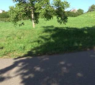 Leibfriedscher Garten