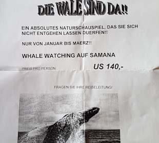 Zusatzblatt von Schauinsland