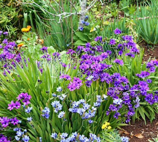 Palheiro Gardens