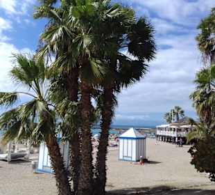 Strand El Duque in Costa Adeje