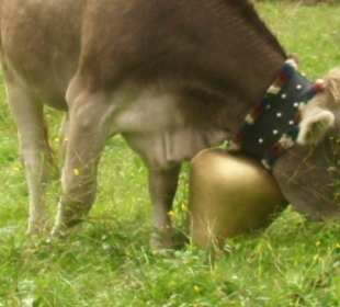 Hier kann man etwa sehen wie groß die Glocken sind