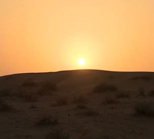 Sonnenuntergang in der Wüste