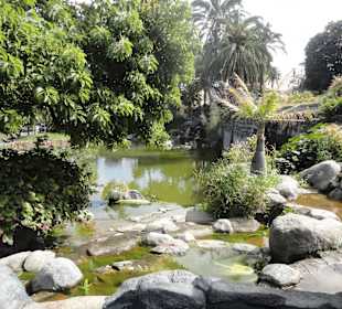 Parque Doramas, Las Palmas 02-2015