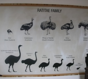 ...und anschaulich dargestellt!