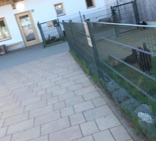 Kinder-Bauernhof