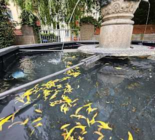 Erbisbrunnen