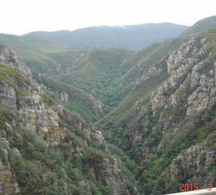 Tsitsikamma National Park
