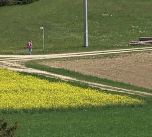Premiumwanderweg Hochgehschätzt