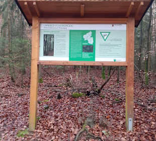 Burgruine Perlenberg in Bann