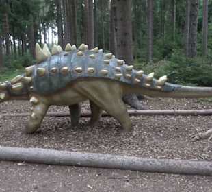 Dinosaurier Museum Altmühltal
