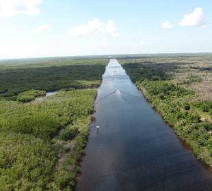 Everglades
