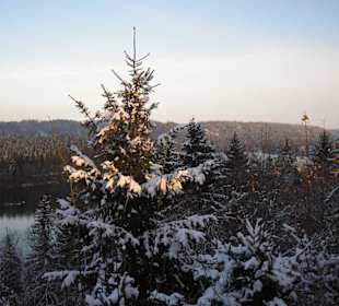 Blick vom Biergarten auf den Lech
