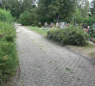 Friedhof