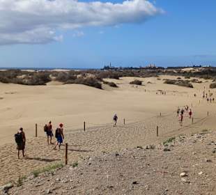 Gekennzeichneter Weg