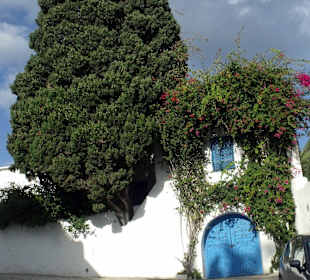 Die blau-weiße Künstlerstadt