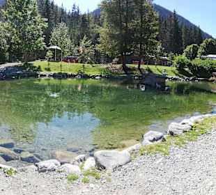 Wildpark Silvretta