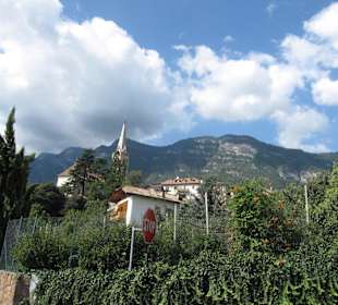 Ort an der Weinstraße