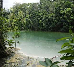 Ausflug Crystal Pool & Hot Springs