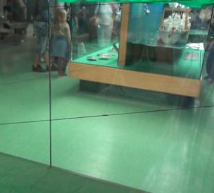 Meeresmuseum Stralsund