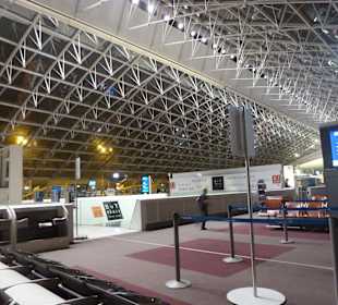 Lotnisko Charles de Gaulle w Paryżu