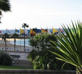 Blick in der zweiten Reihe