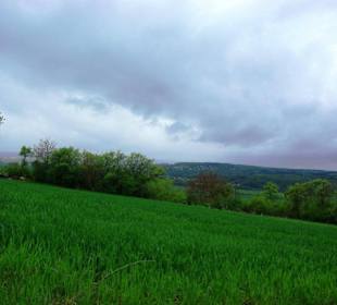 Gegend um das Walberla