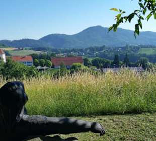 Blickrichtung Trautmannsdorf und Gleichenberger K 