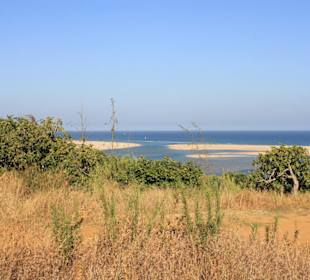 Blick in das Naturschutzgebiet