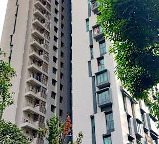 Pinnacle@Duxton von unten