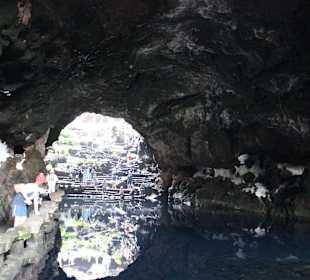 Höhle mit unzählingen Albinokrebsen