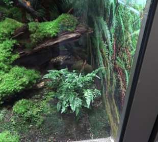 Aquarium