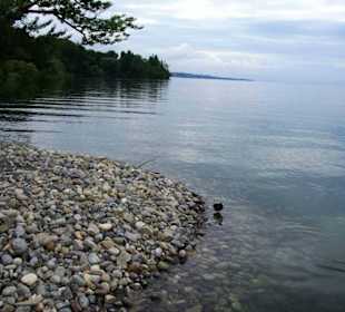 Uferbereich Insel Mainau