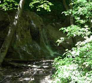 Wiesaztal Gönningen