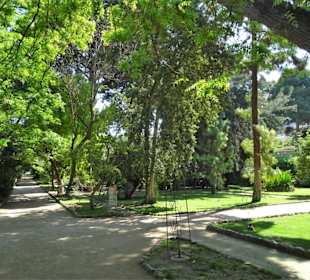 Rundgang durch den Botanischen Garten Cagliari