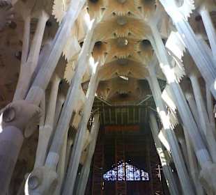 Sagrada Familia Deckengewölbe Mittelschiff