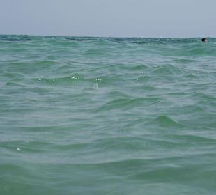 Das Wasser / Absolut Super