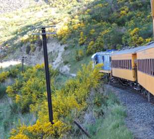 Mitder Taileri Railway durch die Natur Neuseelands
