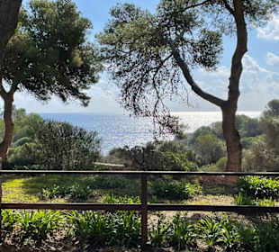 Ausblick kurz vorm Eingang