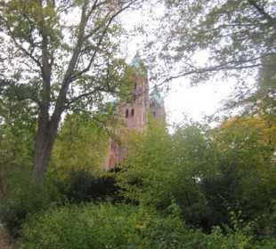 Altstadt Speyer Park am Dom