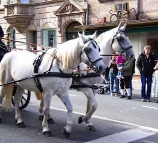 Hiltpoltsteiner Burgfesttrommler und Fahnenschwing