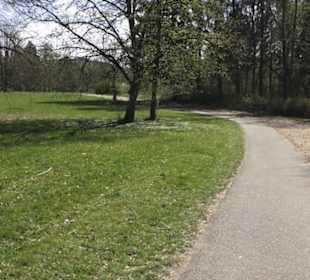 Sport- und Freizeitpark Markwasen