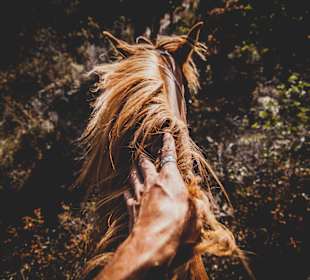 Inselrundfahrt Sardinien