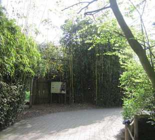 Zoo Heidelberg