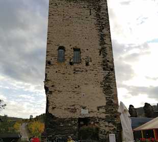 Burg Metternich