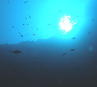 Blick aus dem Meer zur Sonne